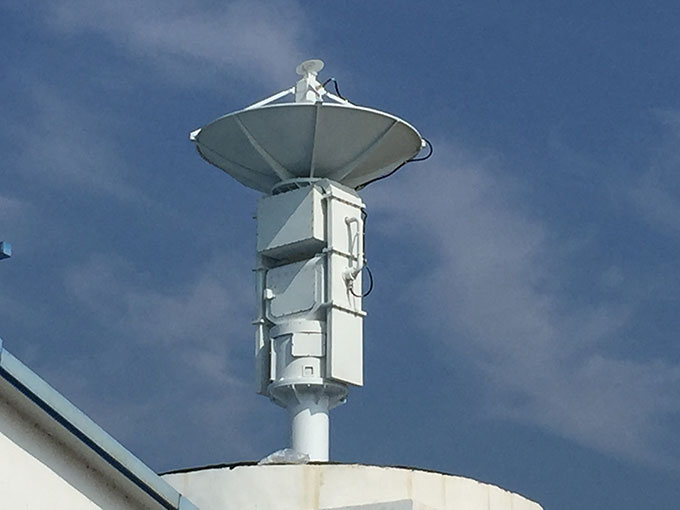 Millimeter wave (Ka band) dual mode insect detection radar